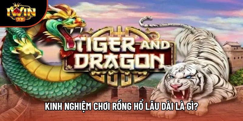 Kinh nghiệm chơi Rồng Hổ lâu dài là gì?